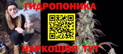 2c-b Обь