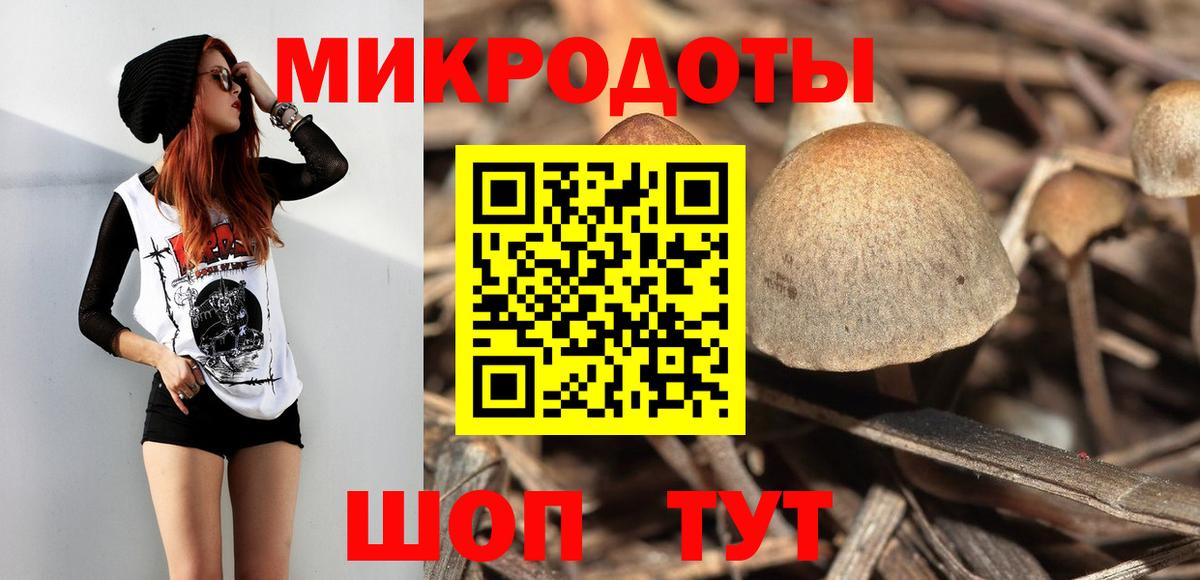 Галлюциногенные грибы Psilocybe Артёмовский